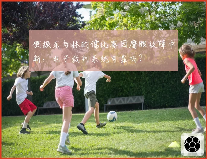 樊振东与林昀儒比赛因鹰眼故障中断，电子裁判系统可靠吗？