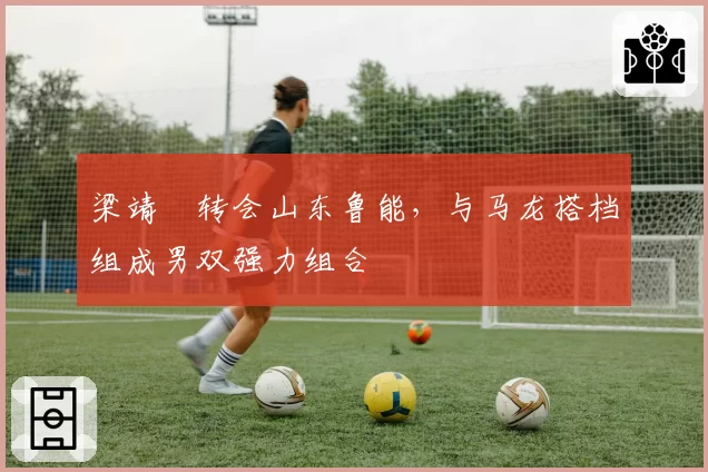 梁靖崑转会山东鲁能,与马龙搭档组成男双强力组合